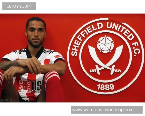 西布朗迎战谢菲联争夺英冠积分榜关键战役的胜利与荣耀